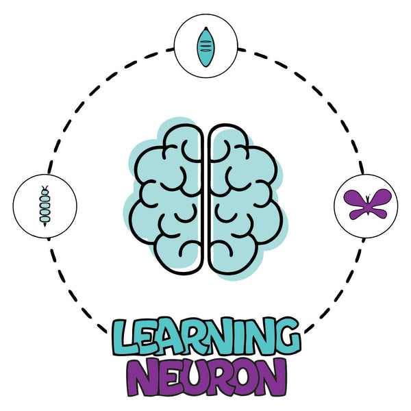 Learning Neuron